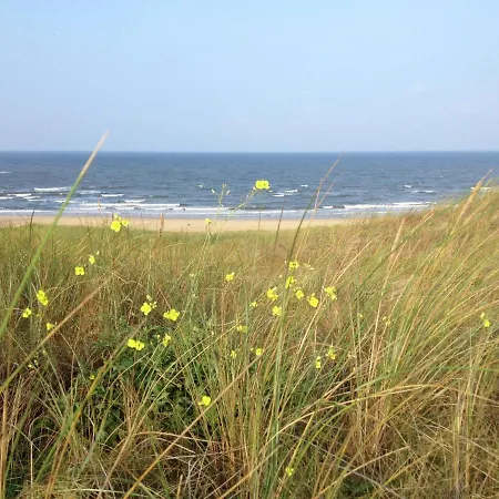 In With Fenced Hotel